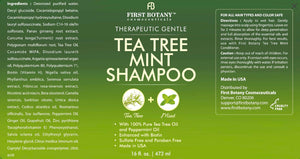 Mint Shampoo and Conditioner - Tea Tree and Peppermint Oils - Promotes Hair Growth, Fights Dandruff, Lice & Itchy Scalp - Sulfate-Free for Men and Women - 16 fl oz x 2